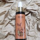 리프레쉬독 이미지