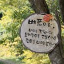 대원사 이미지