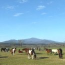 평안목장 이미지