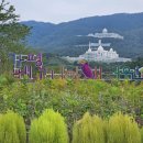 청심평화월드센터 | 경기도 가평 실내 가볼만한곳 가평베고니아새정원