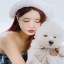 예송 이미지