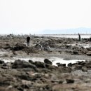 월하성어촌체험휴양마을 이미지