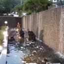 원곡공원 이미지