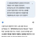 나노가스