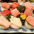 와참치 이미지