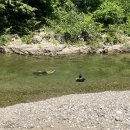 완주에코오토캠핑장 이미지