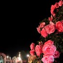 저녁나절 이미지