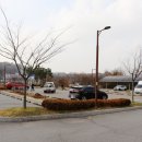 비봉인공습지 축구장 이미지