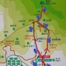 채천기 Daum카페