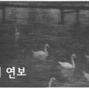 피에르