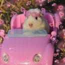 일라이 | 일라이스튜디오 촬영 후기