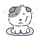 피자클럽 이미지