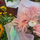 대빵인형뽑기(마곡점) 이미지