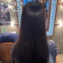 세븐일레븐 부산해운대SH타워점 | 부산 해운대중동미용실 화미주헤어 매직 솔직후기