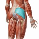 미니 휘트니스 | [고양/능곡] 펀휘트니스 PT 후기 허리와 자세 불균형 개선 운동 루틴