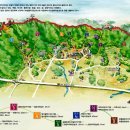 칠보산오리 이미지