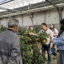 농가의 겨울 이미지