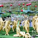 미리가본 금산인삼축제 행사소개 아빠는요?