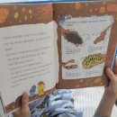 (주)아하 - 김포시 | 초등교과과학책, 웅진 아하365과학 개봉기& 첫주 독서 후기