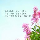 꽃은 피어도 이미지