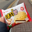 탁구(오후)초급 | 2026년 4월 │매일매일 꽃구경 🌼🌻🌼🌻