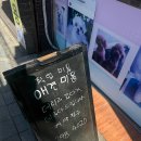 멋내는 애견 이미지