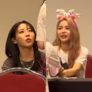 마미애듀 | 일상의 기록☁️ (feat. 팬싸후기)