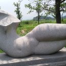 솔향기바다 이미지