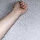 롬앤 멜팅밤 피오니즈 러비핑크 핑크립덕후가 써본 솔직후기