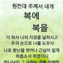 진도리닭도리탕 이미지