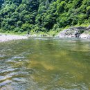 피라미다 | 평창 텐카라 갈겨니 피라미 낚시 출조 후기