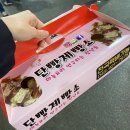 단빵 이미지