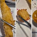 정석참치 이미지