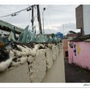 수릉원(남) 이미지