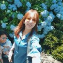 (주)파란제주 이미지