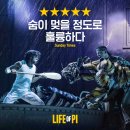 GS25 성내이안 | 토니상 3관왕 명작 ‘라이프 오브 파이’, 한국 초연 티켓 오픈 일정 공개