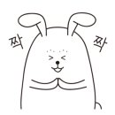 노블동물병원 이미지