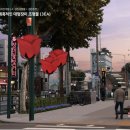 장미의거리10 이미지