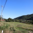 황금궁전주유소 이미지