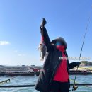토도수산 네이버블로그