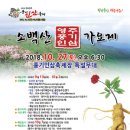 풍기인삼 쿠키뉴스