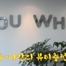 샾트윙클