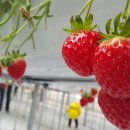 주몽농장 이미지