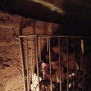 부안한증막 이미지