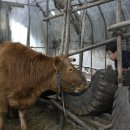 한준농장 이미지