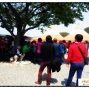 두대농장 이미지