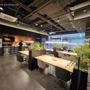 [후기] 스플라운지(SPLOUNGE) 2달 이용 후기
