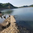 보은붕어낚시 이미지