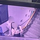 은영야채