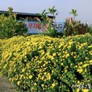 솔바우농장 이미지